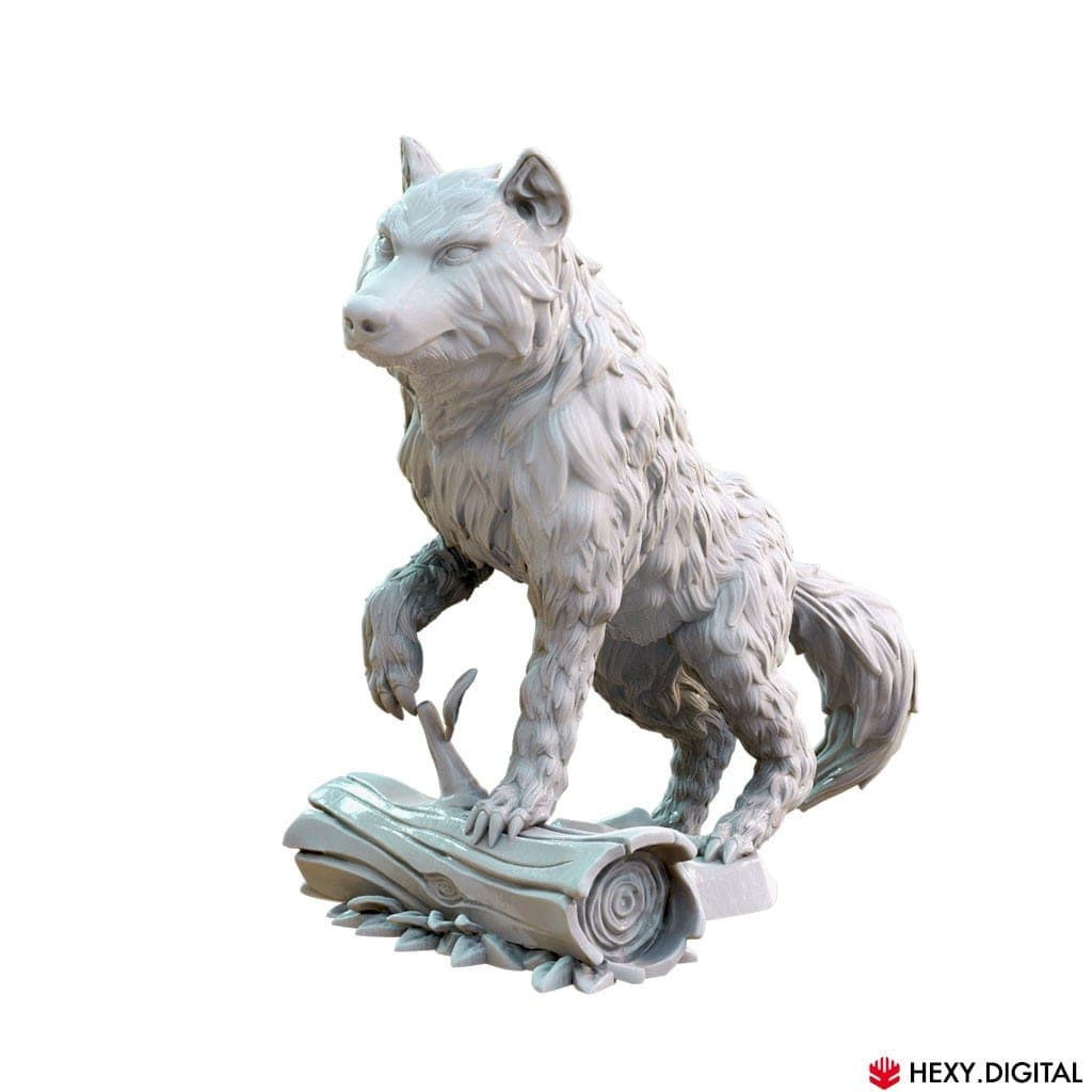 Wolf, image 1 of 2
